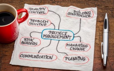 What To Expect When You Work With A Project Management Consultant